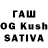 APVP VHQ TheBigWallOfDogs