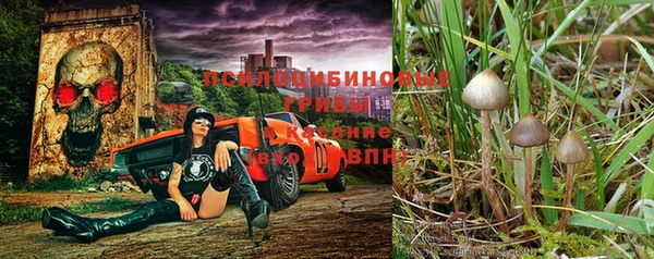 герыч Богородск